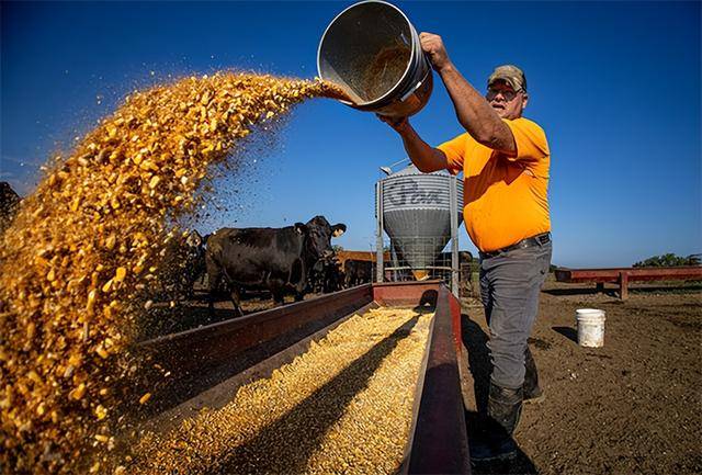 皇冠体育App下载_又输给了李成钢皇冠体育App下载，贝森特承诺：美方不再考虑对华加征100%关税